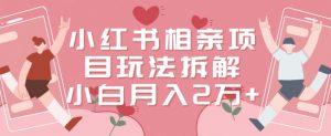 小红书相亲项目玩法拆解,有人通过这个副业项目做到了月收入2万多【揭秘】-资源云