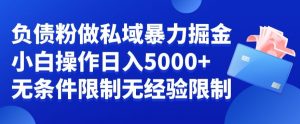 负债粉私域暴力掘金，小白操作入5000，无经验限制，无条件限制【揭秘】-资源云