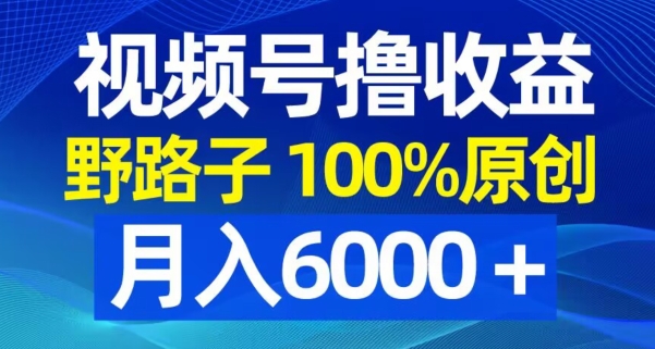 视频号野路子撸收益，100%原创，条条爆款，月入6000＋【揭秘】-资源云