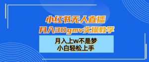 小红书无人直播月入30gmv实操教学,月入上w不是梦,小白轻松上手【揭秘】-资源云