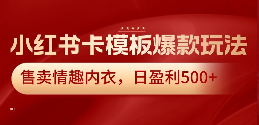 小红书卡模板爆款玩法，售卖情趣内衣，日盈利500+【揭秘】-资源云