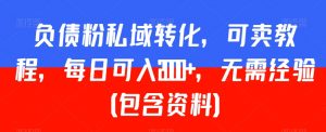 负债粉私域转化,可卖教程,每日可入2000+,无需经验(包含资料)【揭秘】-资源云