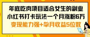 年底吃肉项目适合女生的副业小红书打卡玩法一个月涨粉6万+变现能力强+单月收益5位数【揭秘】-资源云