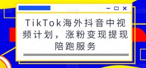 TikTok海外抖音中视频计划,涨粉变现提现陪跑服务-资源云