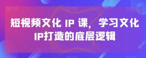 短视频文化IP课,学习文化IP打造的底层逻辑-资源云