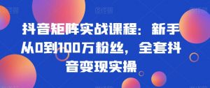 抖音矩阵实战课程：新手从0到100万粉丝，全套抖音变现实操-资源云