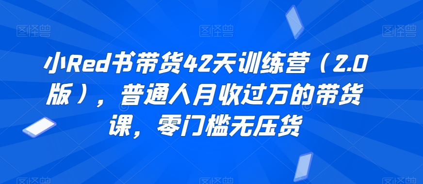 小Red书带货42天训练营（2.0版），普通人月收过万的带货课，零门槛无压货-资源云
