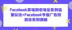 Facebook菜鸟到老鸟全系列运营玩法+Facebook专业广告投放全系列课程-资源云