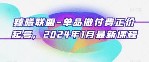 臻曦联盟-单品微付费正价起号,2024年1月最新课程-资源云