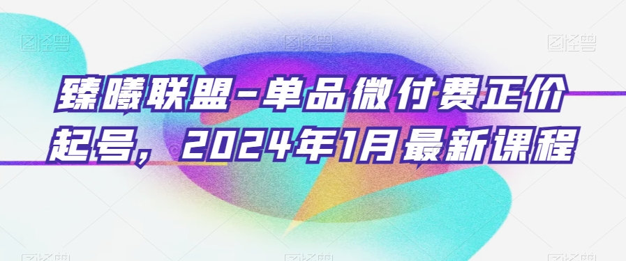 臻曦联盟-单品微付费正价起号，2024年1月最新课程-资源云
