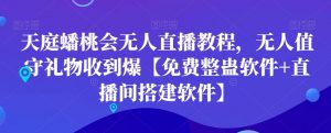 天庭蟠桃会无人直播教程，无人值守礼物收到爆【免费整蛊软件+直播间搭建软件】-资源云