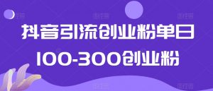 抖音引流创业粉单日100-300创业粉【揭秘】-资源云