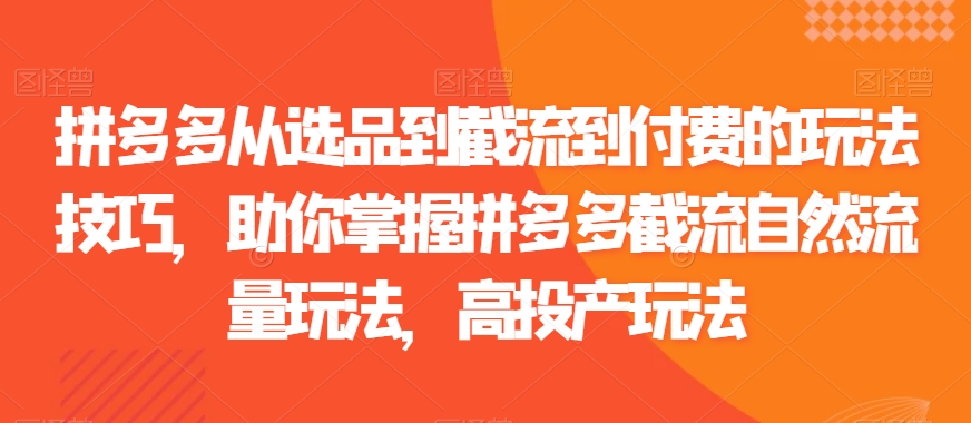 拼多多从选品到截流到付费的玩法技巧，助你掌握拼多多截流自然流量玩法，高投产玩法-资源云