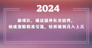 2024新项目，通过国外社交软件，快速涨粉精准引流，轻松做到月入上万【揭秘】-资源云