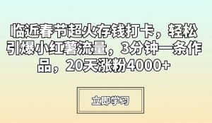 临近春节超火存钱打卡,轻松引爆小红薯流量,3分钟一条作品,20天涨粉4000+【揭秘】-资源云