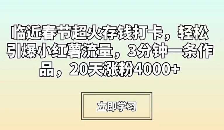 临近春节超火存钱打卡，轻松引爆小红薯流量，3分钟一条作品，20天涨粉4000+【揭秘】-资源云