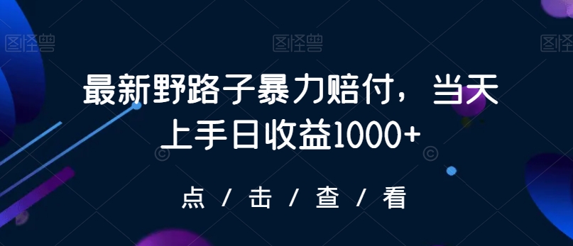 最新野路子暴力赔付，当天上手日收益1000+【仅揭秘】-资源云