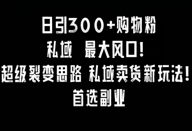 日引300+购物粉，超级裂变思路，私域卖货新玩法，小红书首选副业【揭秘】-资源云