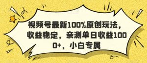 视频号最新100%原创玩法,收益稳定,亲测单日收益1000+,小白专属【揭秘】-资源云