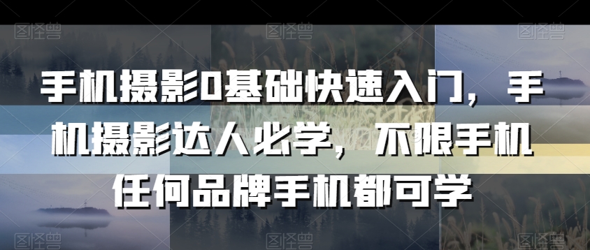 手机摄影0基础快速入门，手机摄影达人必学，不限手机任何品牌手机都可学-资源云
