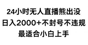 快手24小时无人直播熊出没,不封直播间,不违规,日入2000+,最适合小白上手,保姆式教学【揭秘】-资源云
