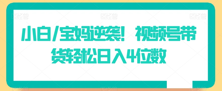 小白/宝妈逆袭！视频号带货轻松日入4位数【揭秘】-资源云