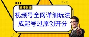 视频号全网最详细玩法,起号过原创开分成,单号日入300+【揭秘】-资源云