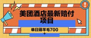 美团酒店最新赔付项目,单日薅羊毛700+【仅揭秘】-资源云