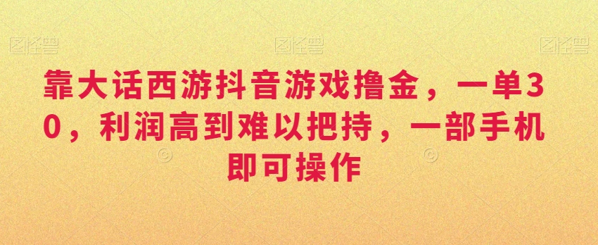 靠大话西游抖音游戏撸金，一单30，利润高到难以把持，一部手机即可操作，日入3000+【揭秘】-资源云