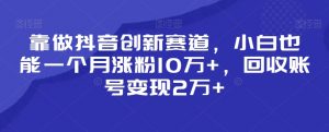 靠做抖音创新赛道,小白也能一个月涨粉10万+,回收账号变现2万+【揭秘】-资源云