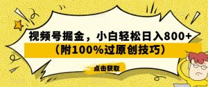 视频号掘金,小白轻松日入800+(附100%过原创技巧)【揭秘】-资源云