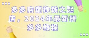 多多店铺挣钱之起店,2024年最新拼多多教程-资源云