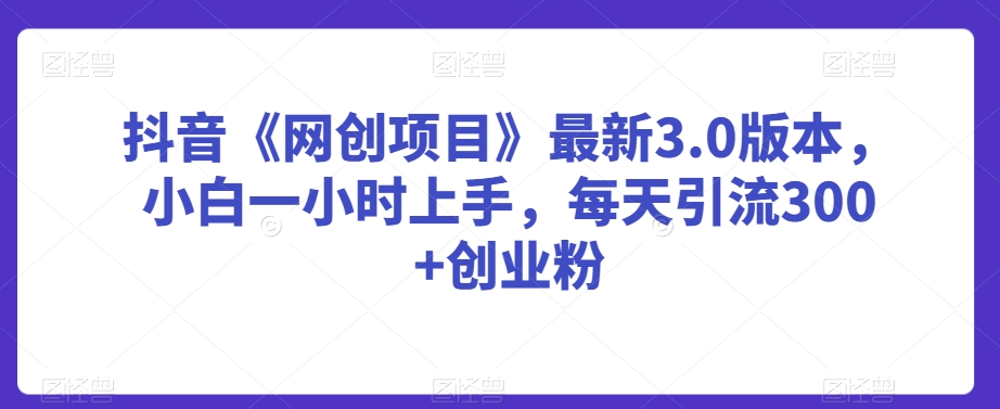 抖音《网创项目》最新3.0版本，小白一小时上手，每天引流300+创业粉【揭秘】-资源云