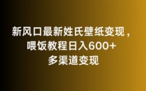 新风口最新姓氏壁纸变现,喂饭教程日入600+【揭秘】-资源云