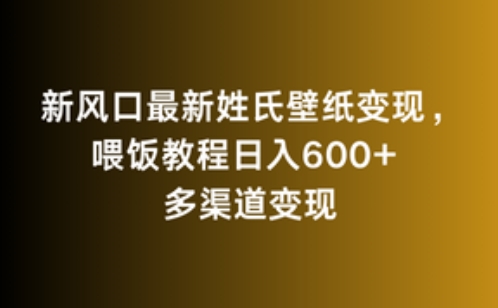 新风口最新姓氏壁纸变现，喂饭教程日入600+【揭秘】-资源云