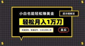 谷歌看广告撸美金2.0,无脑挂机,多号操作,月入1万刀【揭秘】-资源云