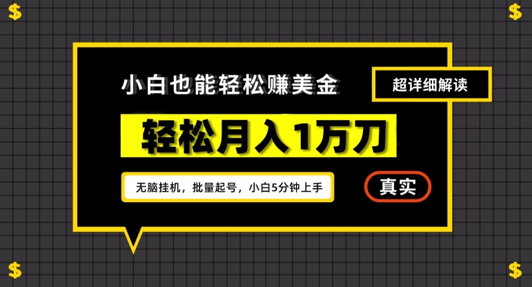 谷歌看广告撸美金2.0，无脑挂机，多号操作，月入1万刀【揭秘】-资源云