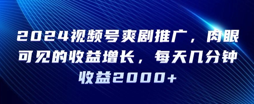 2024视频号爽剧推广，肉眼可见的收益增长，每天几分钟收益2000+【揭秘】-资源云