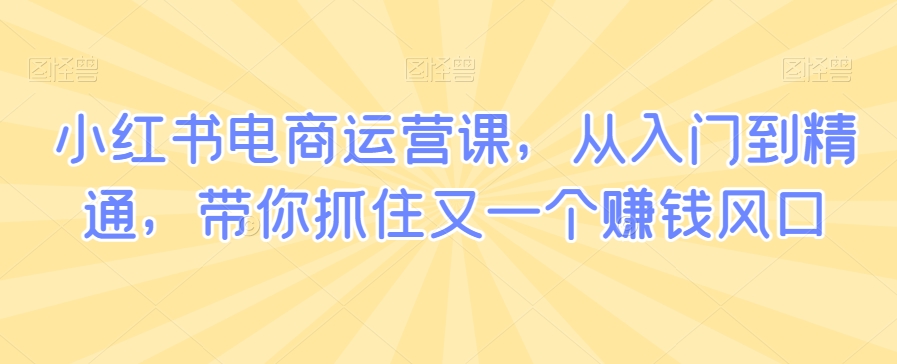 小红书电商运营课，从入门到精通，带你抓住又一个赚钱风口-资源云