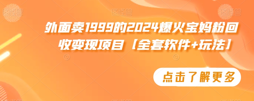 外面卖1999的2024爆火宝妈粉回收变现项目【全套软件+玩法】【揭秘】-资源云