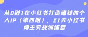 从0到1在小红书打造赚钱的个人IP（第四期），21天小红书博主实战训练营-资源云
