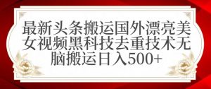 最新头条搬运国外漂亮美女视频黑科技去重技术无脑搬运日入500+【揭秘】-资源云