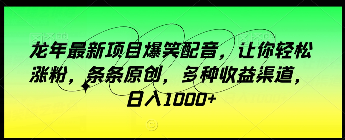 龙年最新项目爆笑配音，让你轻松涨粉，条条原创，多种收益渠道，日入1000+【揭秘】-资源云