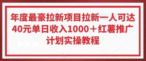 年度最豪拉新项目拉新一人可达40元单日收入1000+红薯推广计划实操教程【揭秘】-资源云