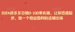 2024拼多多日销0-100单实操，让你迅速起步，做一个稳定盈利的店铺出来-资源云