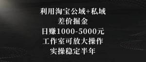 利用淘宝公域+私域差价掘金,日赚1000-5000元,工作室可放大操作,实操稳定半年【揭秘】-资源云