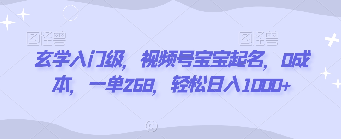 玄学入门级，视频号宝宝起名，0成本，一单268，轻松日入1000+【揭秘】-资源云