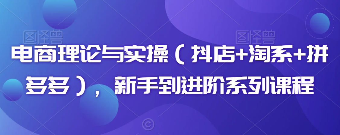 电商理论与实操（抖店+淘系+拼多多），新手到进阶系列课程-资源云