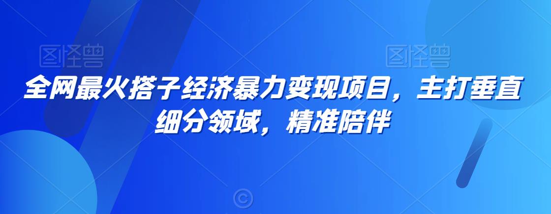 全网最火搭子经济暴力变现项目，主打垂直细分领域，精准陪伴【揭秘】-资源云
