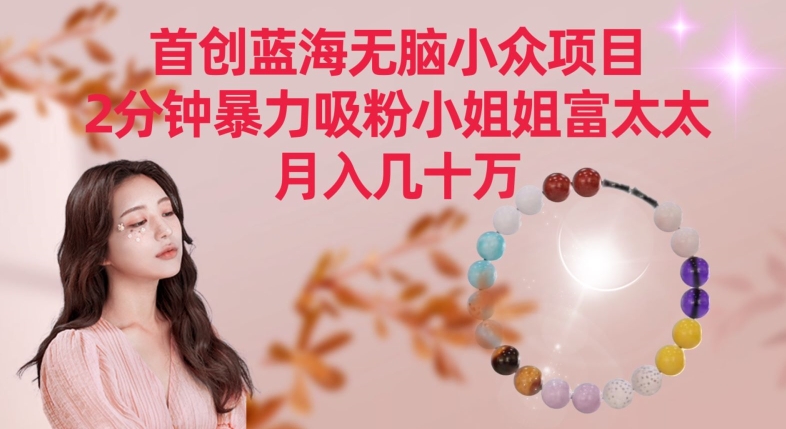 首创蓝海无脑小众项目，2分钟暴力吸粉小姐姐富太太，月入几十万【揭秘】-资源云